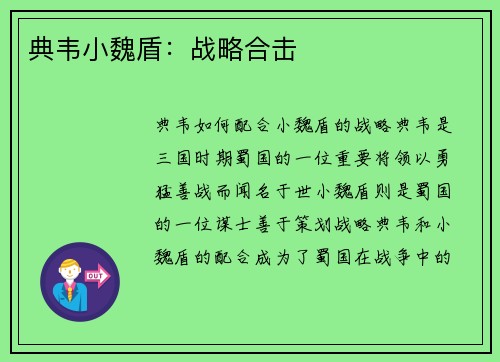典韦小魏盾：战略合击